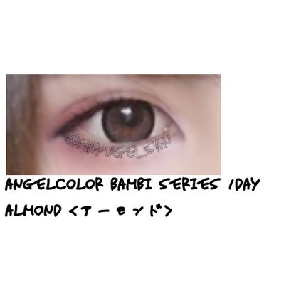 Angelcolor Bambi Series 1day アーモンド/AngelColor/ワンデー(1DAY)カラコンを使ったクチコミ(3枚目)