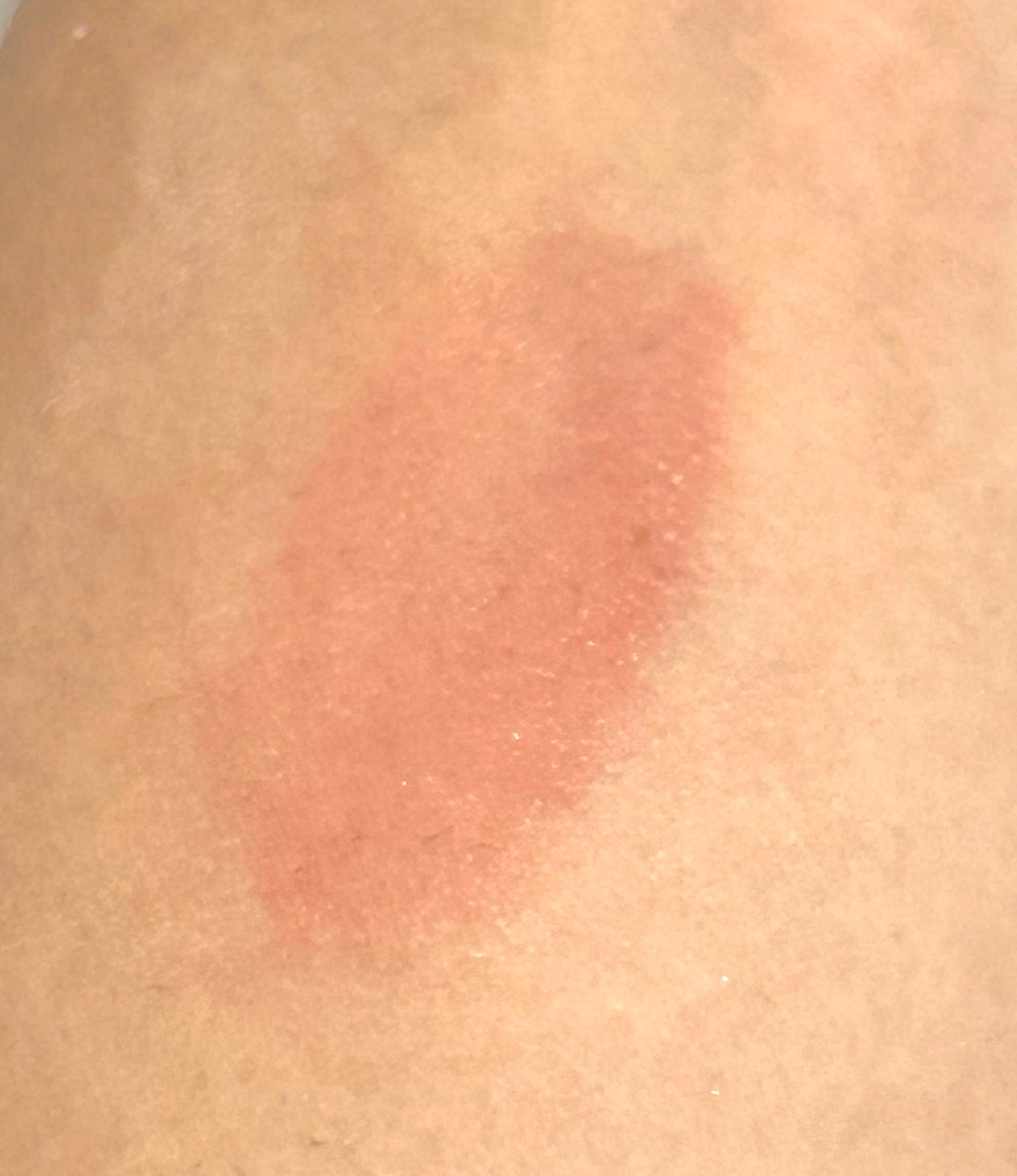 ジューシーラスティングティント 29 パパイヤジャム(PAPAYA JAM)/rom&nd/リップティントを使ったクチコミ（3枚目）