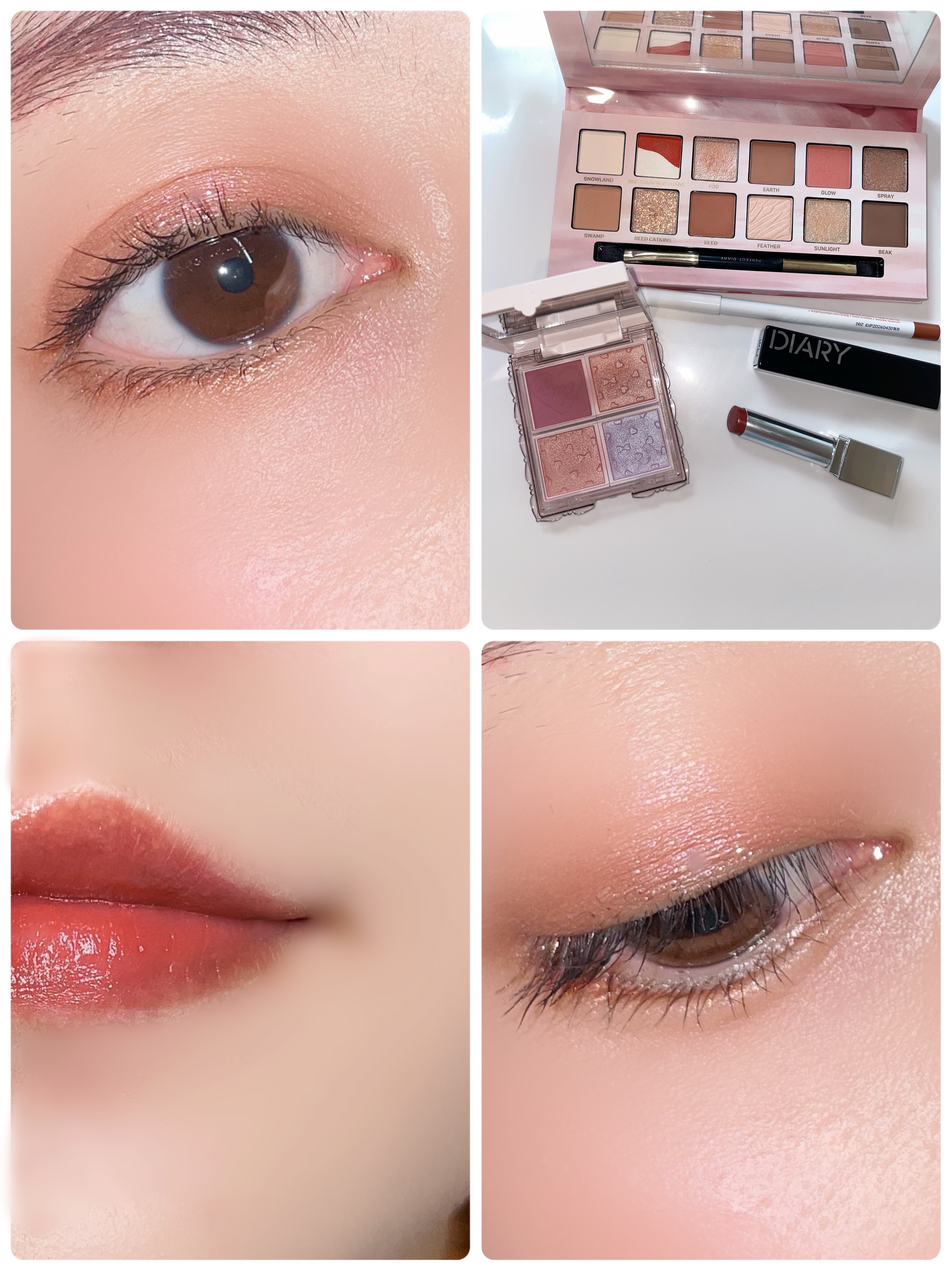 エクスプローラ12色 動物アイシャドウパレット/PERFECT DIARY/アイシャドウパレットを使ったクチコミ（1枚目）