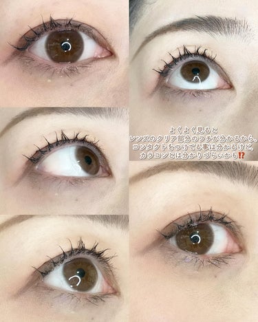 セレクトフェアリー ユーザーセレクト マンスリー STANDARD BROWN 12.6mm/FAIRY/１ヶ月（１MONTH）カラコンの画像