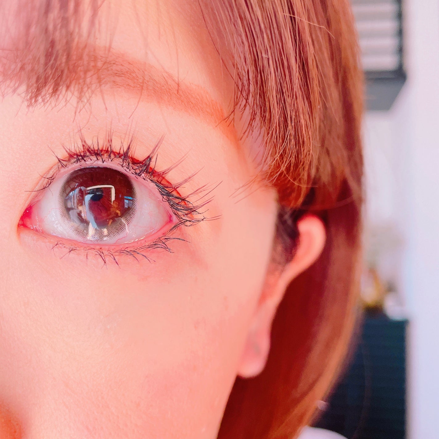 BELLSiQUE 1day/ベルシーク/ワンデー(1DAY)カラコンを使ったクチコミ(4枚目)