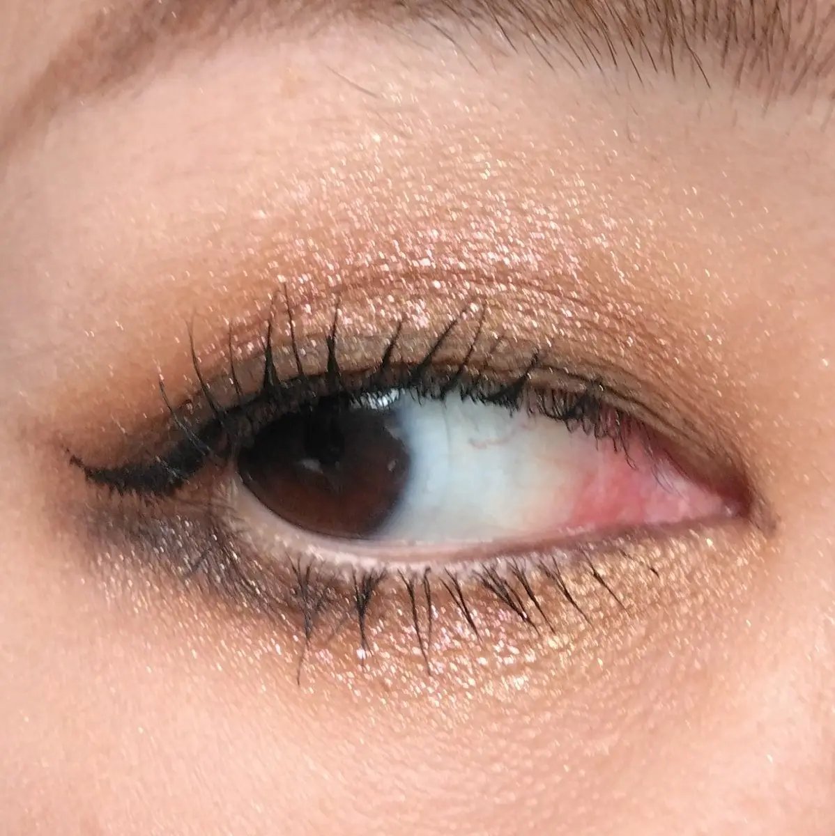 エンバー ライツ アイシャドウ パレット/BOBBI BROWN/アイシャドウパレットを使ったクチコミ（2枚目）