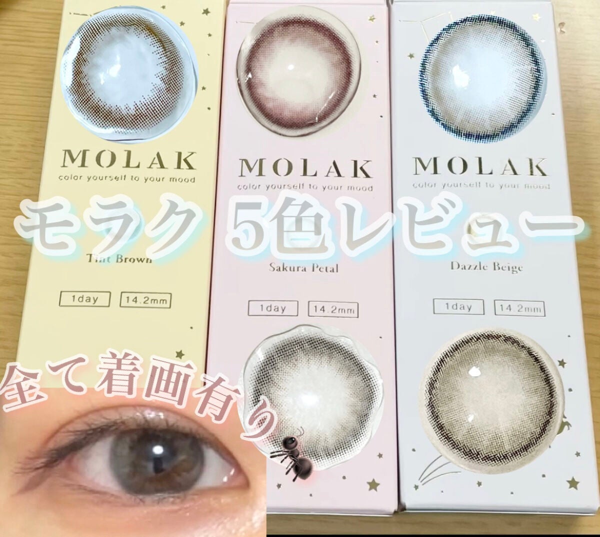 MOLAK 1day/MOLAK/ワンデー(1DAY)カラコンを使ったクチコミ(1枚目)
