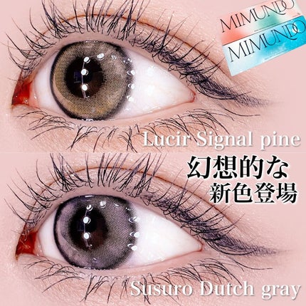 Susurro 1Day/mimundo/カラーコンタクトレンズを使ったクチコミ(1枚目)