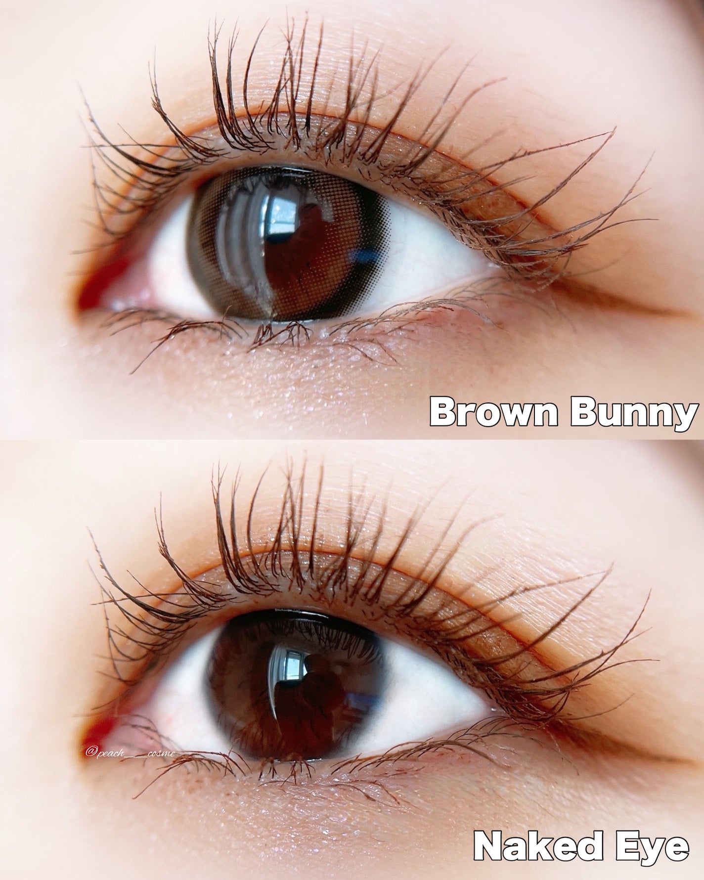 MOLAK 1day/MOLAK/ワンデー(1DAY)カラコンを使ったクチコミ(4枚目)