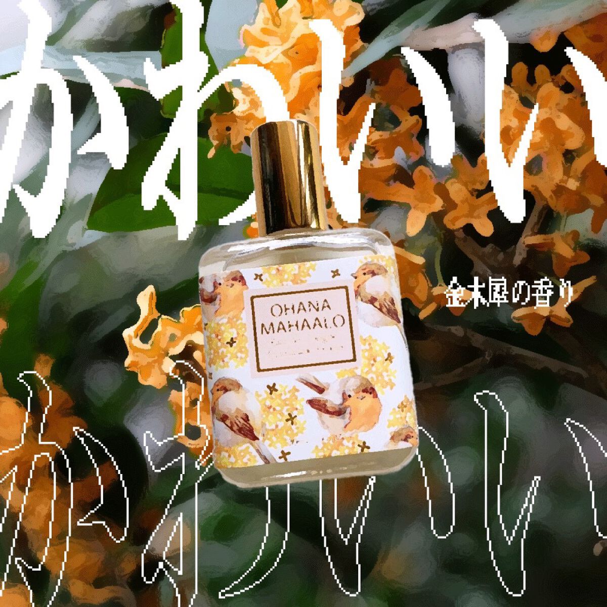 オハナ・マハロ オーデコロン〈プアナラキ ホオラ〉/OHANA MAHAALO/香水(レディース)を使ったクチコミ(1枚目)