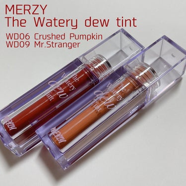 ザ ウォータリー デューティント WD6 クラッシュド パンプキン/MERZY/口紅を使ったクチコミ（1枚目）