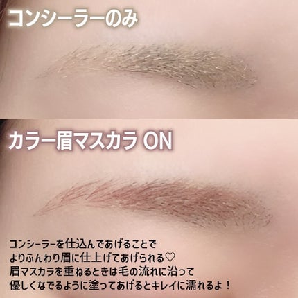淡眉コンシーラー/シークレットサロン/眉マスカラを使ったクチコミ(5枚目)