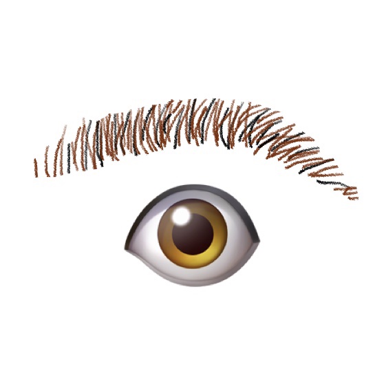 脱色クリーム 敏感肌用 脱色クリーム（敏感肌用）【旧】/エピラット/ムダ毛ケアを使ったクチコミ（3枚目）