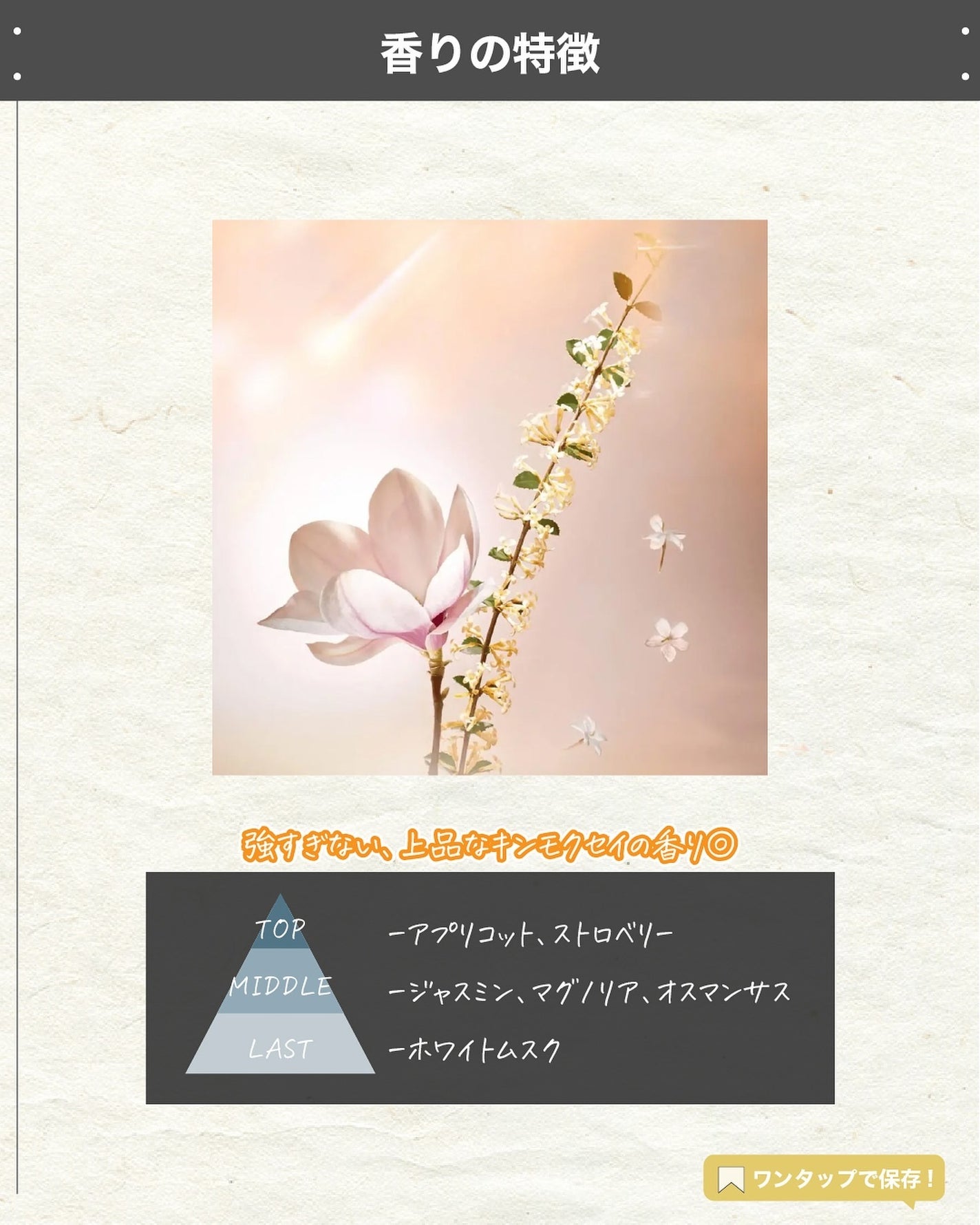 エスログ┊1日1分のモテ香水紹介 on LIPS 「.『男女兼用金木犀』🌳製品情報🌳LOUISVUITTONエトワ..」(3枚目)