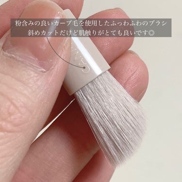 パステルヴェールコンシーラー/キャンメイク/パレットコンシーラーを使ったクチコミ（4枚目）