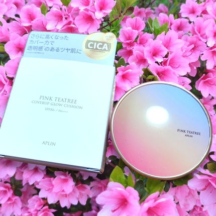 ピンクティーツリーカバーアップグロウクッション/APLIN/クッションファンデーションを使ったクチコミ(6枚目)