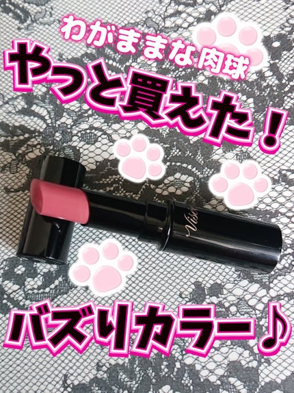 ネンマクフェイク ルージュ/Visée/口紅を使ったクチコミ(1枚目)