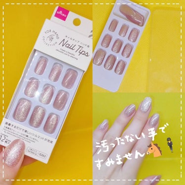 DAISO ネイルチップ（ハンド）のクチコミ「#DAISO で #マグネットネイル の
可愛い #ネイルチップ を発見したので買ってきたﾖ〜.....」（1枚目）