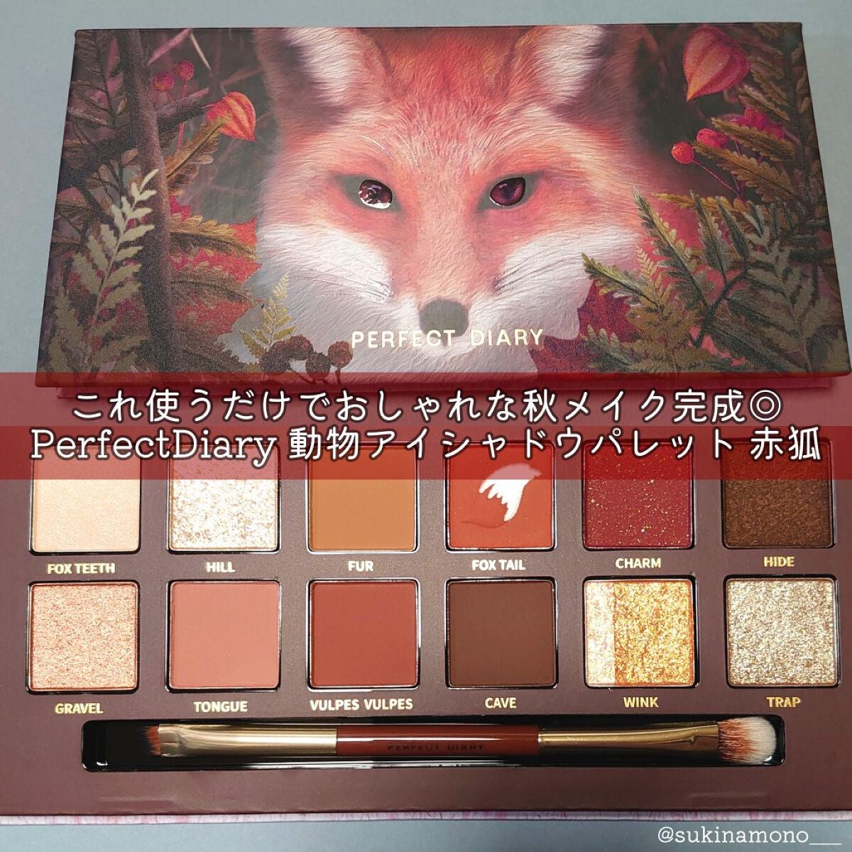 エクスプローラ12色 動物アイシャドウパレット/PERFECT DIARY/アイシャドウパレットを使ったクチコミ(1枚目)