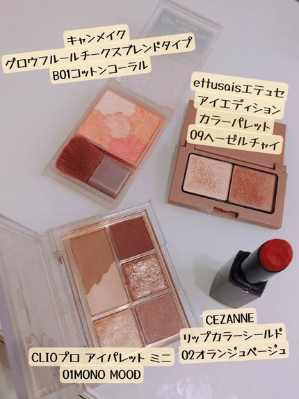 リップカラーシールド/CEZANNE/口紅を使ったクチコミ(2枚目)