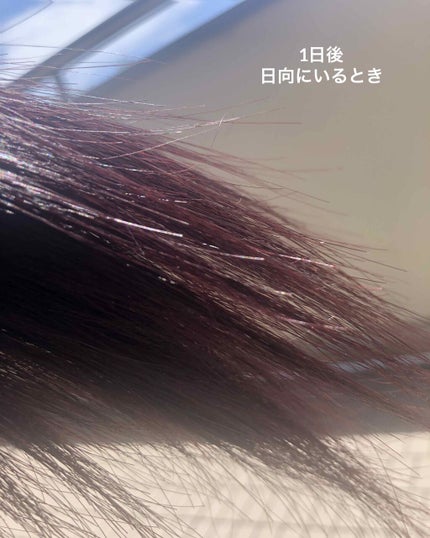 デビルズトリック/クイスクイス/ヘアカラーを使ったクチコミ(4枚目)