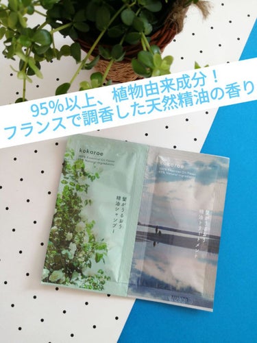 髪がうるおう精油シャンプー／トリートメント しっとり /kokoroe/シャンプー・コンディショナーを使ったクチコミ（1枚目）