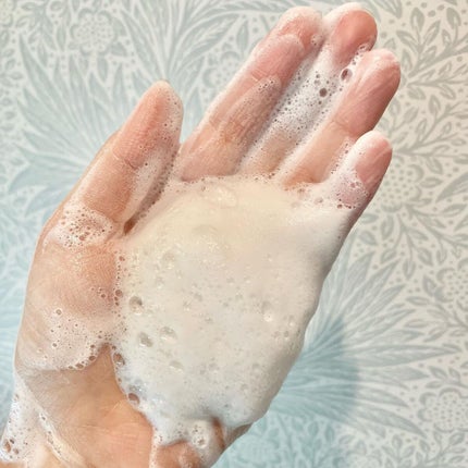 ウォッシュクレンジング A/クレンジングリサーチ/洗顔フォームを使ったクチコミ(3枚目)