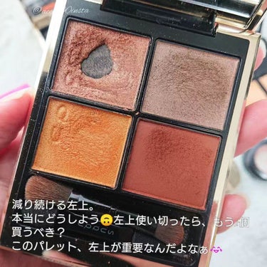 サンク クルール<ワイルド アース＞/Dior/アイシャドウパレットを使ったクチコミ（3枚目）