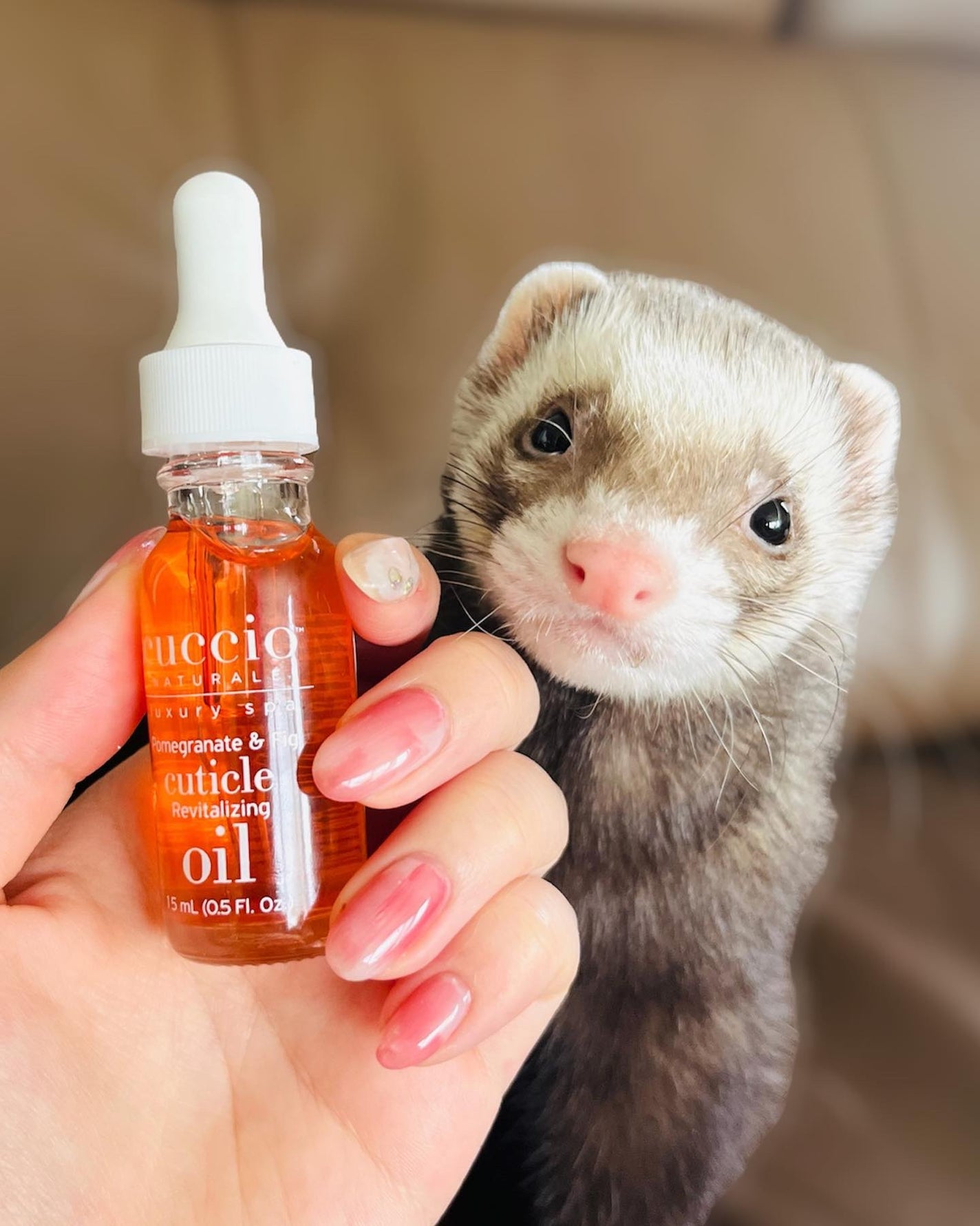 しゅわちゃん on LIPS 「NOTTESTEDONANIMALS!@cuccio_japa..」(2枚目)