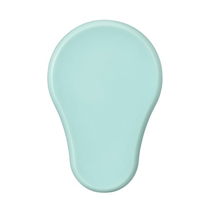 グレイッシュミント