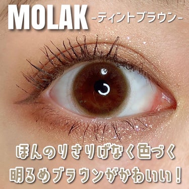 MOLAK 1day ティントブラウン/MOLAK/ワンデー（１DAY）カラコンを使ったクチコミ（2枚目）