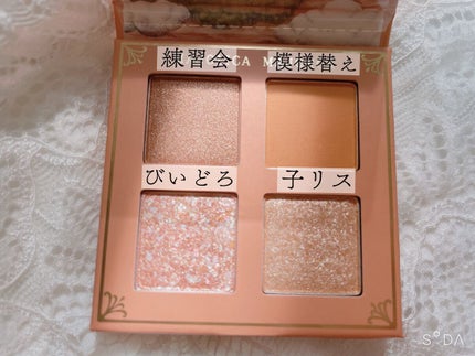 シャドーフラッシュ /MAJOLICA MAJORCA/アイシャドウパレットを使ったクチコミ(2枚目)