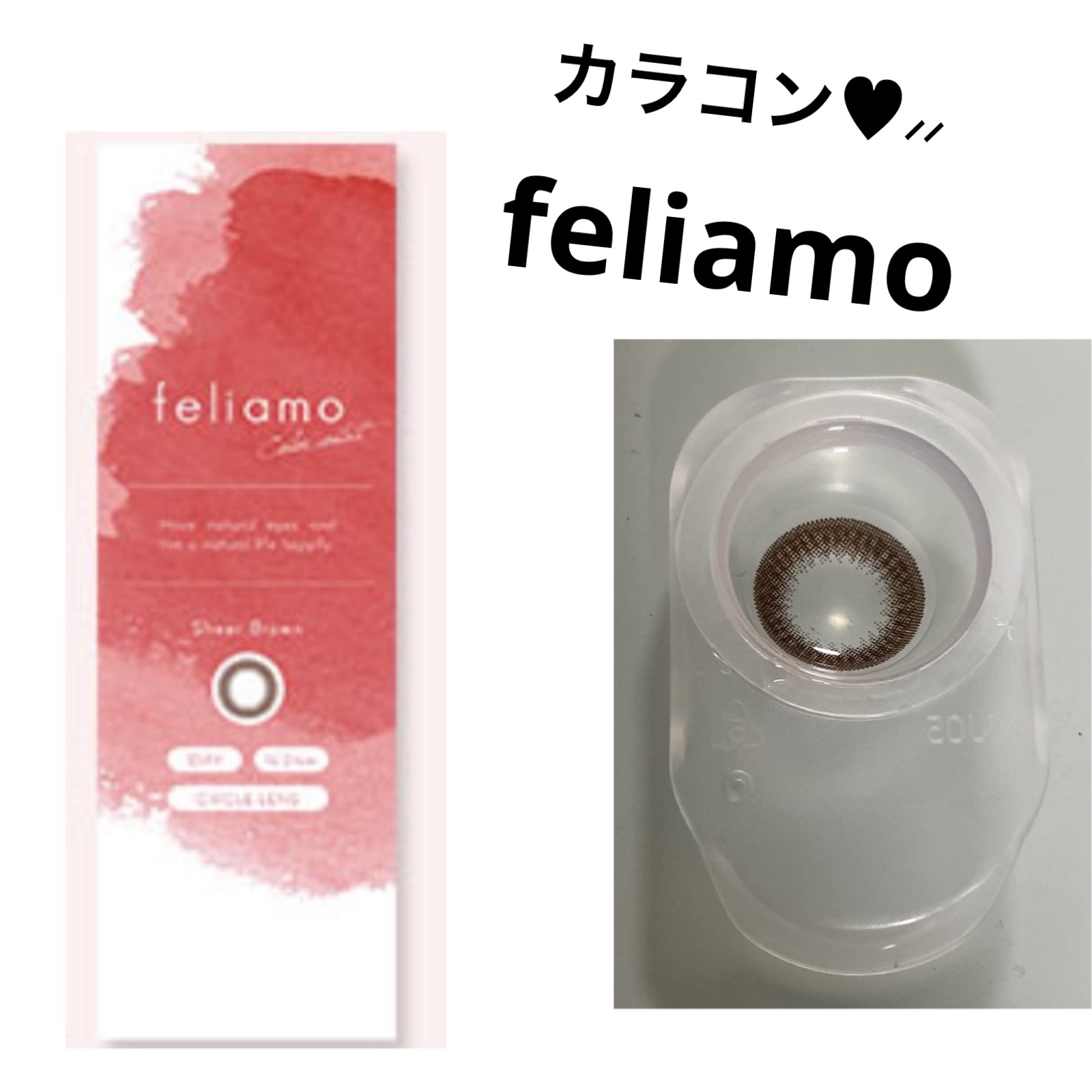 feliamo 1day シアーブラウン/feliamo/ワンデー（１DAY）カラコンを使ったクチコミ（1枚目）
