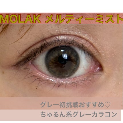 MOLAK 1day/MOLAK/ワンデー(1DAY)カラコンを使ったクチコミ(1枚目)