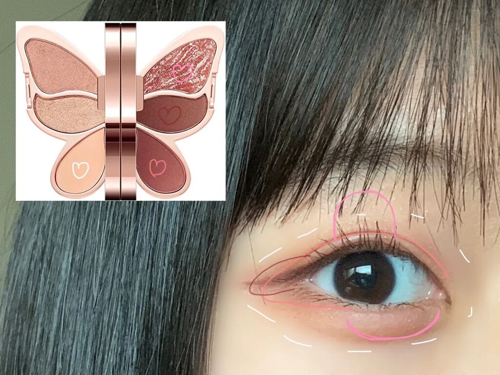 バタフライアイシャドウパレット/AGAG/アイシャドウパレットを使ったクチコミ（2枚目）