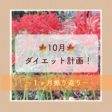 ※雑談※10月ダイエット計画振り返りメモ🙋‍♀️🤎


✿目標✿
今月の目標は、「腸内環境を整える月間にする！」
→達成！

まだまだお腹の張りを感じる日もありますが、比較的肌やお通じの調子も良く１ヶ月