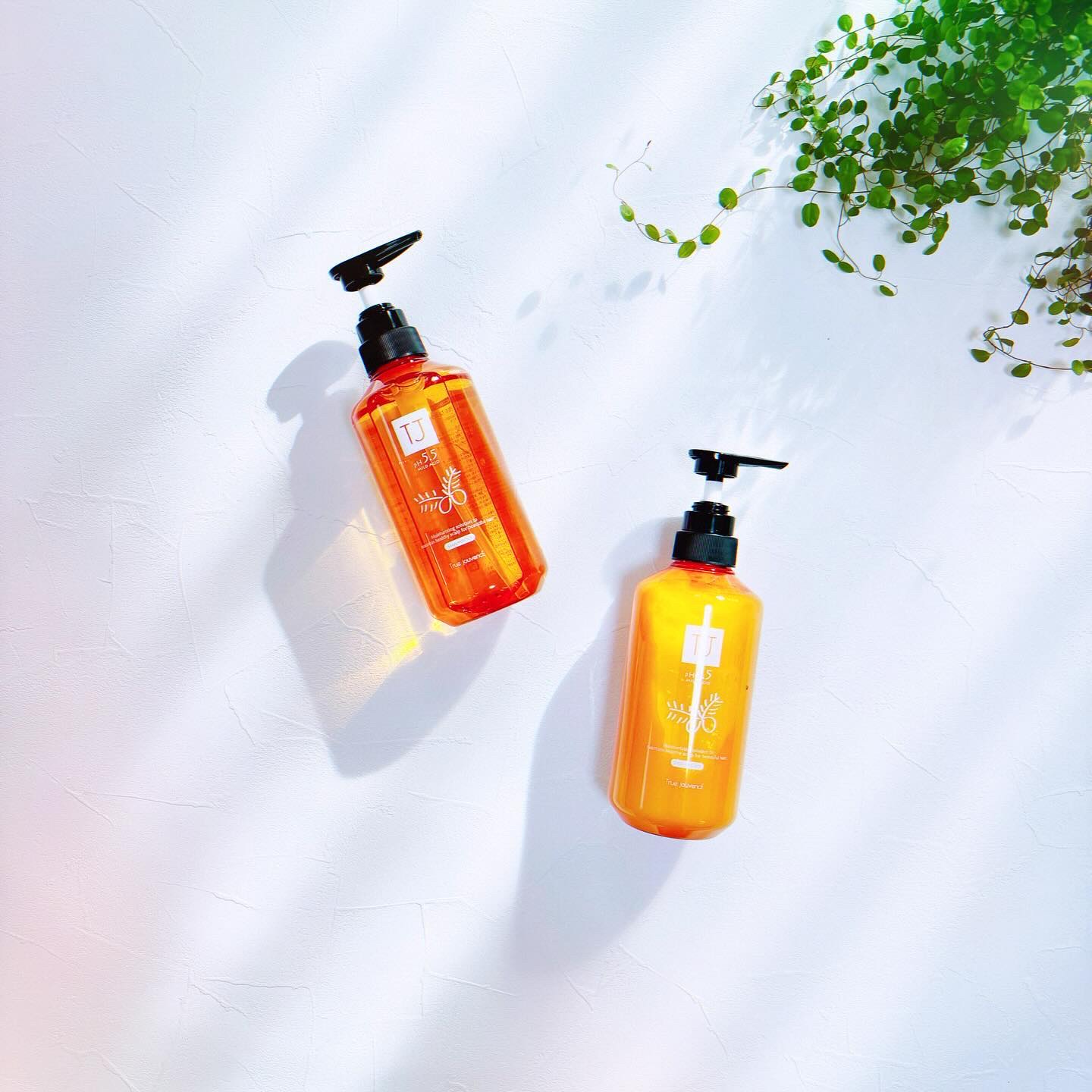 TJ pH5.5 シャンプー＆トリートメント/True jouvencE/市販シャンプーを使ったクチコミ（1枚目）