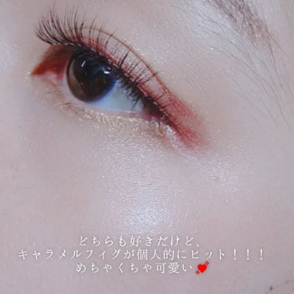 オーガニックデュオシャドー/アクア・アクア/アイシャドウパレットを使ったクチコミ(10枚目)