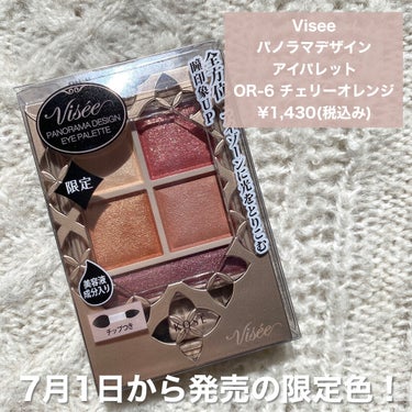 パノラマデザイン アイパレット/Visée/アイシャドウパレットを使ったクチコミ（2枚目）