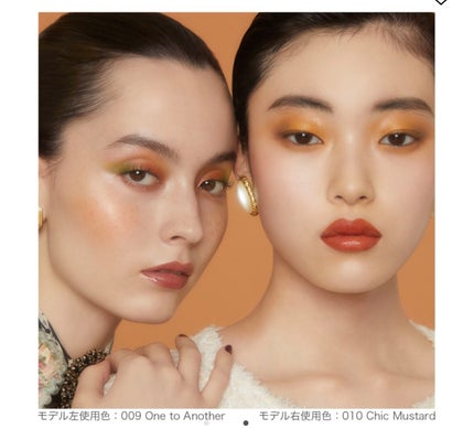 アディクション ザ アイシャドウ パレット/ADDICTION/アイシャドウパレットを使ったクチコミ(4枚目)