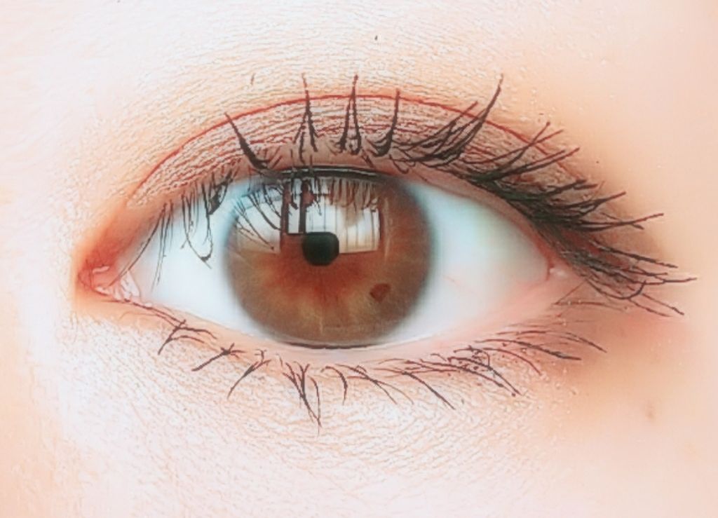 ロイヤルパールアイズ/キャンメイク/アイシャドウパレットを使ったクチコミ（1枚目）