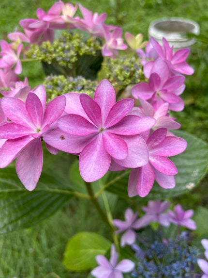 ベージュトーンアイシャドウ/CEZANNE/アイシャドウパレットを使ったクチコミ(6枚目)