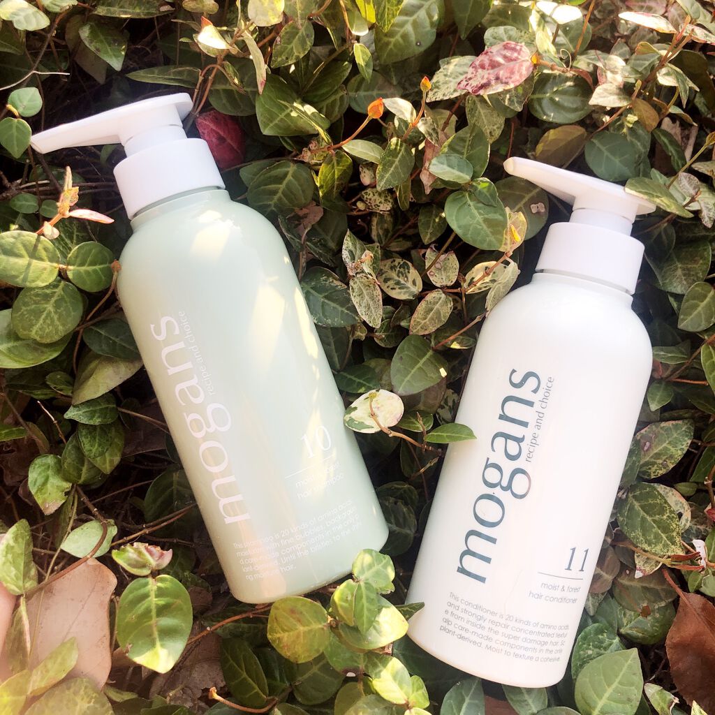 ノンシリコン アミノ酸シャンプー／コンディショナー (モイスト＆フォレスト) シャンプー/MOGANS/市販シャンプーを使ったクチコミ（1枚目）