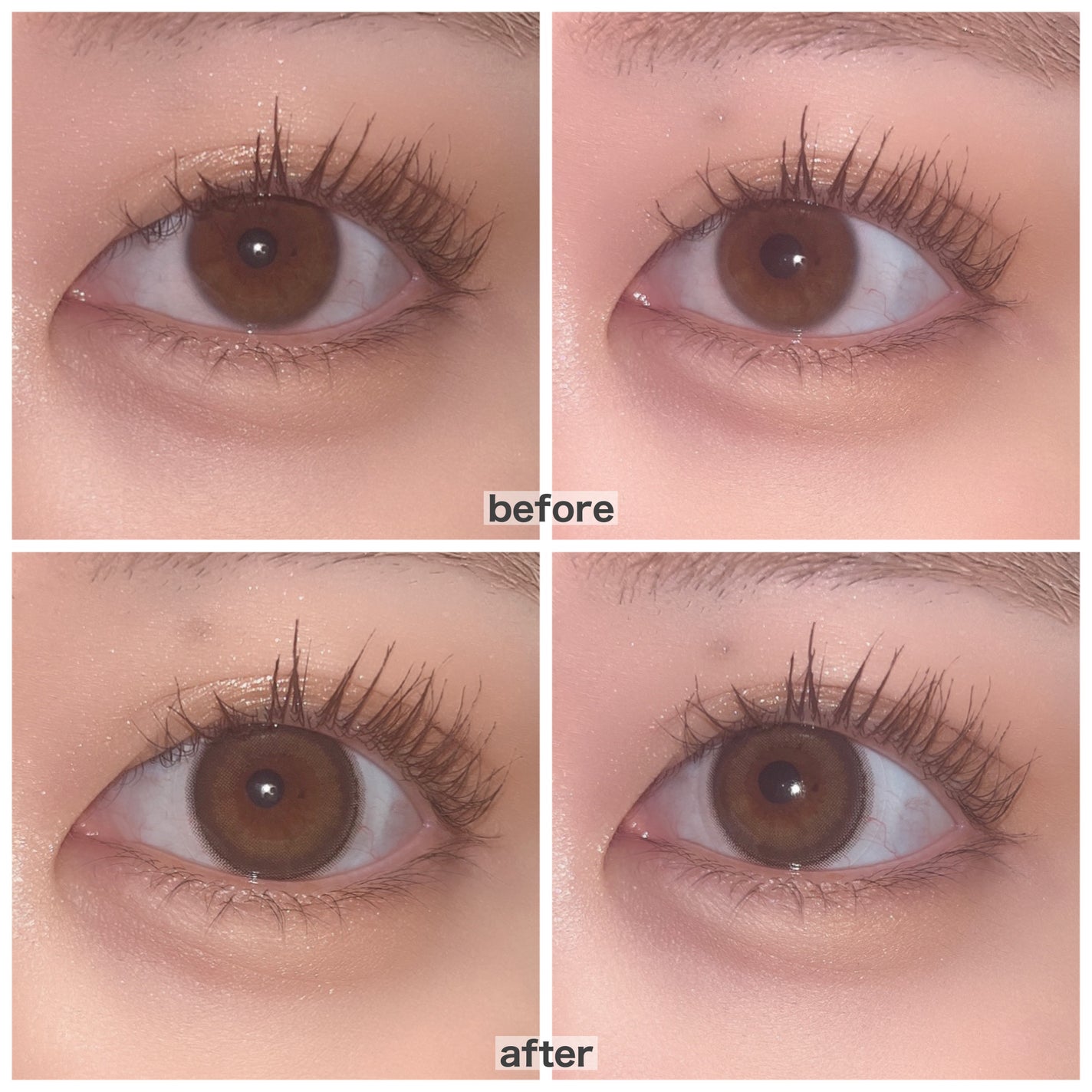 feliamo 1day/feliamo/ワンデー(1DAY)カラコンを使ったクチコミ(2枚目)