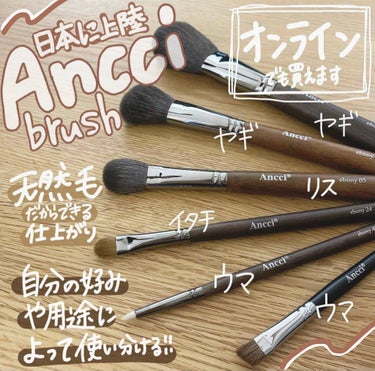 Ancci brush ebony 02のクチコミ「🖌Ancci brush
→韓国で人気No.1メイクブラシが日本に上陸！
（新大久保・大阪）
.....」（1枚目）
