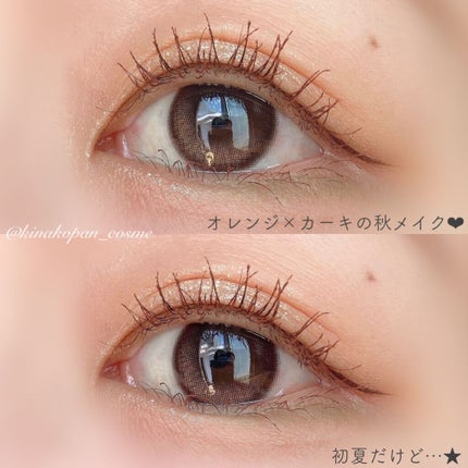 貝殻マルチパレット/Joocyee/アイシャドウパレットを使ったクチコミ(5枚目)