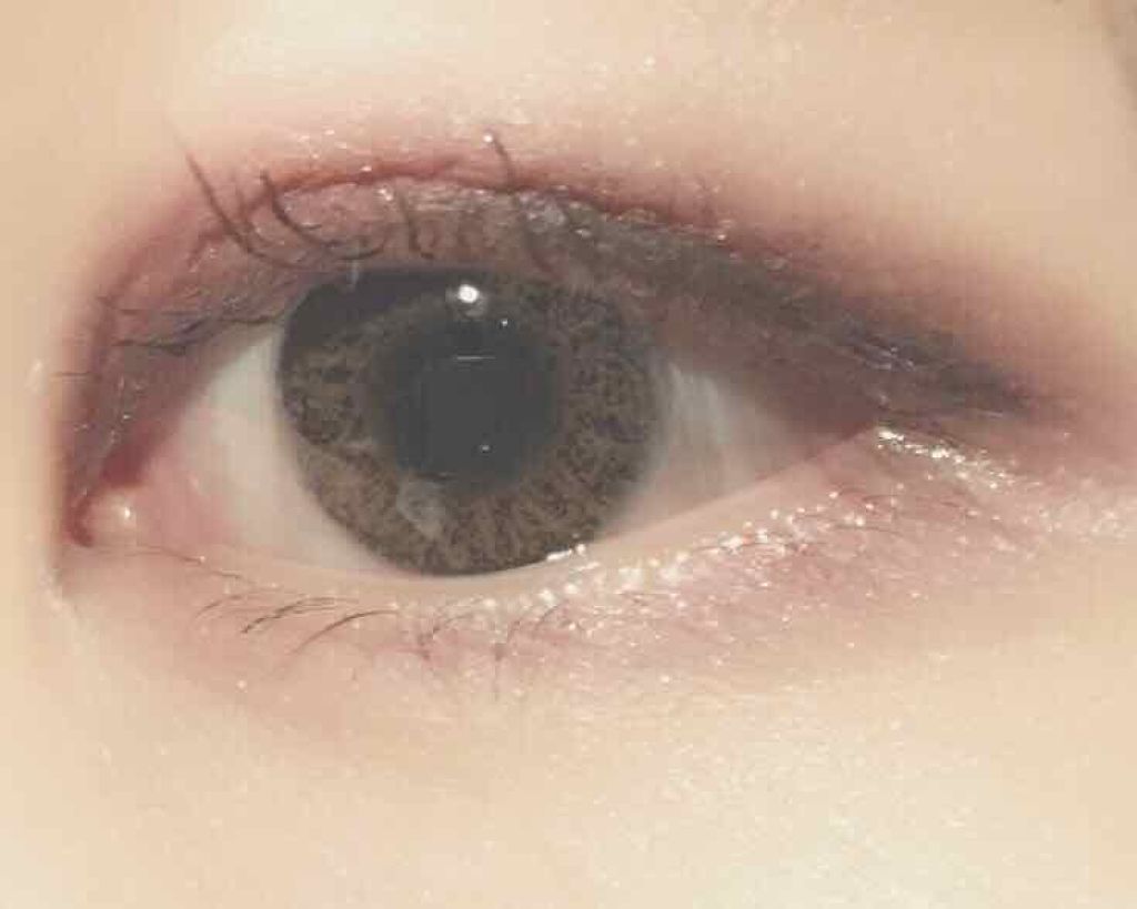 「塗るつけまつげ」ロングタイプ/デジャヴュ/マスカラを使ったクチコミ(1枚目)