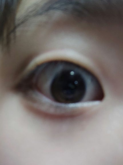 UR GLAM EYEBROW POWDER/U R GLAM/パウダーアイブロウを使ったクチコミ(1枚目)