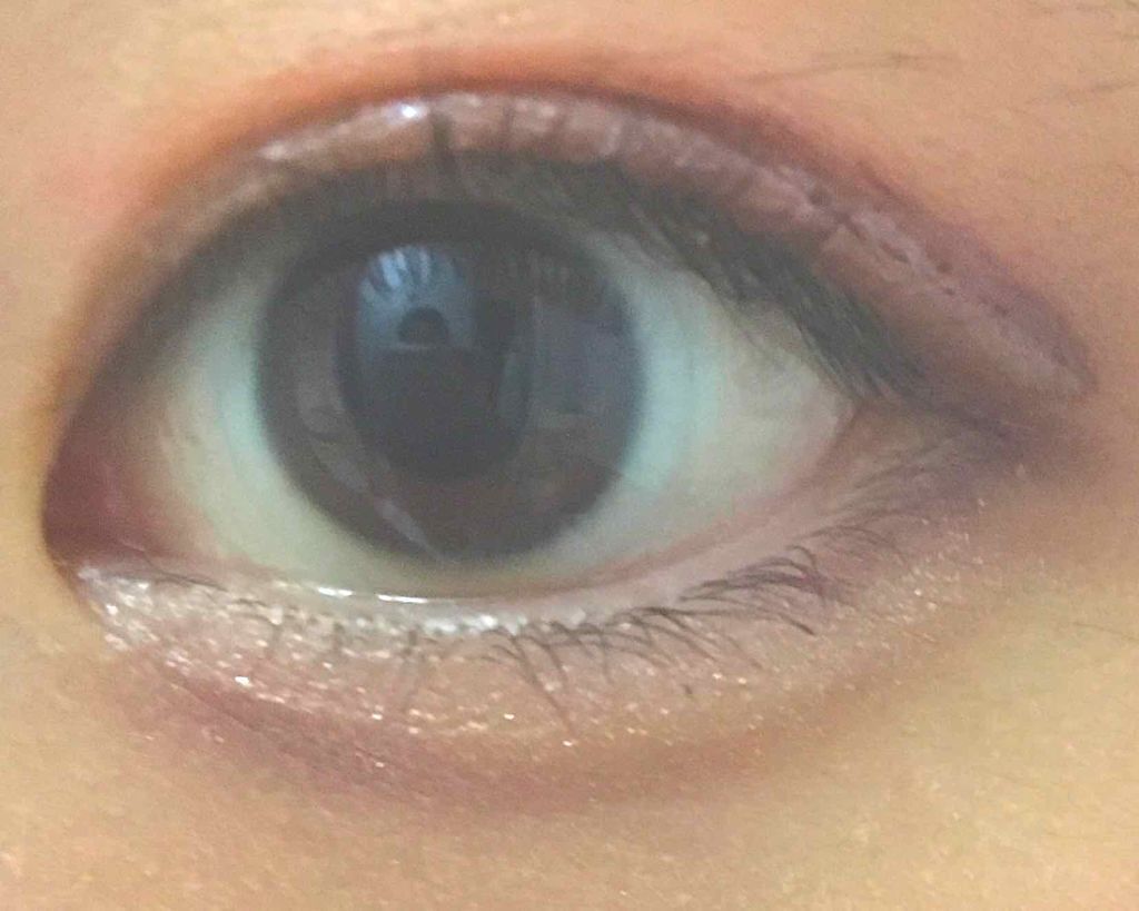 【旧品】パーフェクトスタイリストアイズ/キャンメイク/アイシャドウパレットを使ったクチコミ（2枚目）