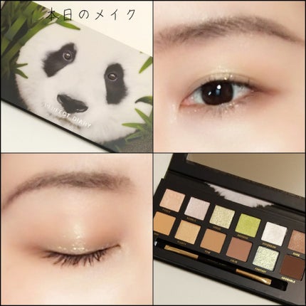 エクスプローラ12色 動物アイシャドウパレット パンダ/PERFECT DIARY/アイシャドウパレットを使ったクチコミ(1枚目)