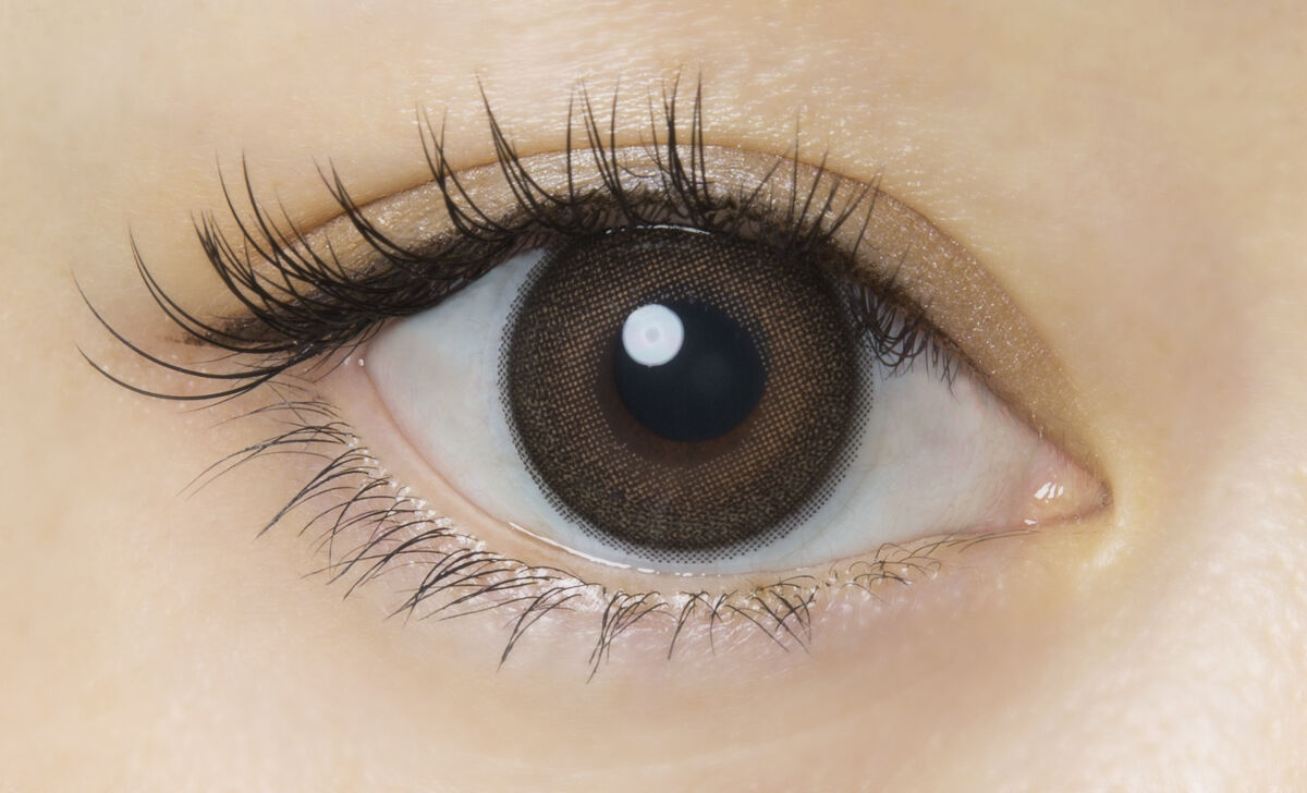 FLANMY 1day メープルシフォン