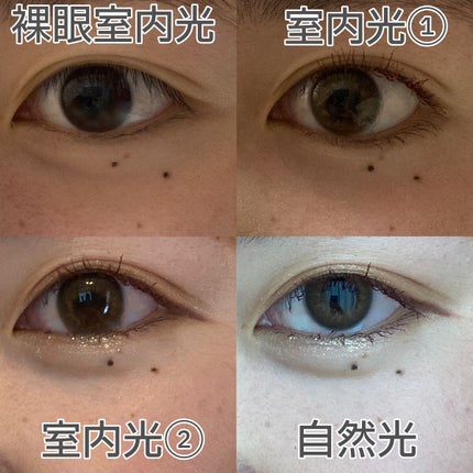 Angelcolor Bambi Series Vintage 1day/AngelColor/ワンデー(1DAY)カラコンを使ったクチコミ(3枚目)