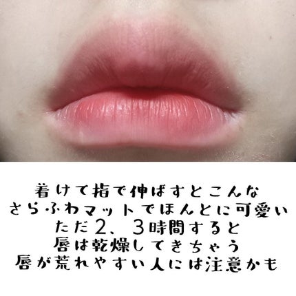 ゼロベルベットティント 10 フィーバー(FEVER)/rom&nd/リップティントを使ったクチコミ(2枚目)