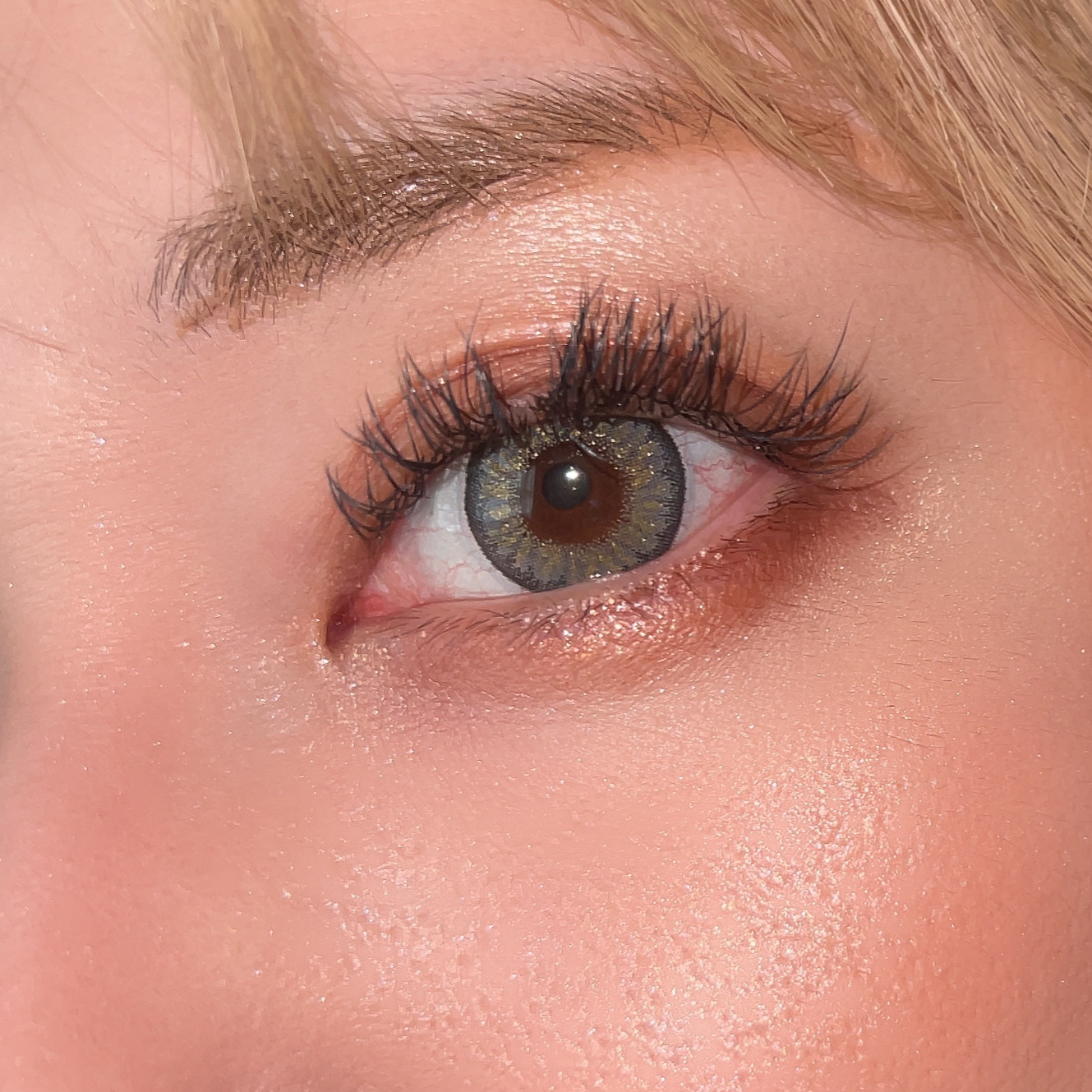 シャドウパレット 11 チョコレートファッジ/dasique/アイシャドウパレットを使ったクチコミ（3枚目）